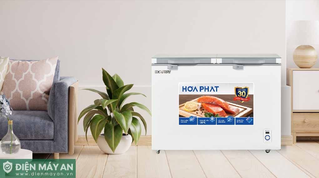 Tủ đông cánh kính Hòa Phát 245 Lít HPF BD6245